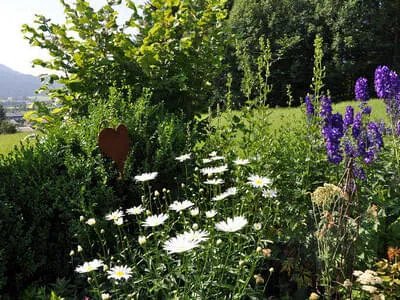 Unser Garten Bild 2